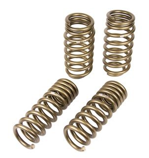 Dodge Challenger Hurst Stage 1 Coil Spring Kit